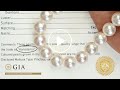 Gia certified hanadama akoya pearls