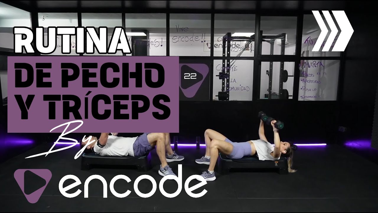 Rutina de pecho y triceps en casa || Ejercicios para pectoral y tríceps ...