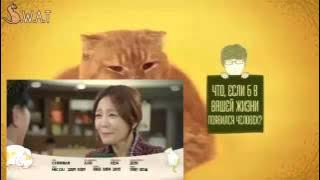 Eng / Indo / Tagalog Sub → Imaginary Cat EP 6 Sneak Preview | 상상고양이 6회