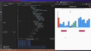 Selection Sort from Data Algorithms visually with Flutter
