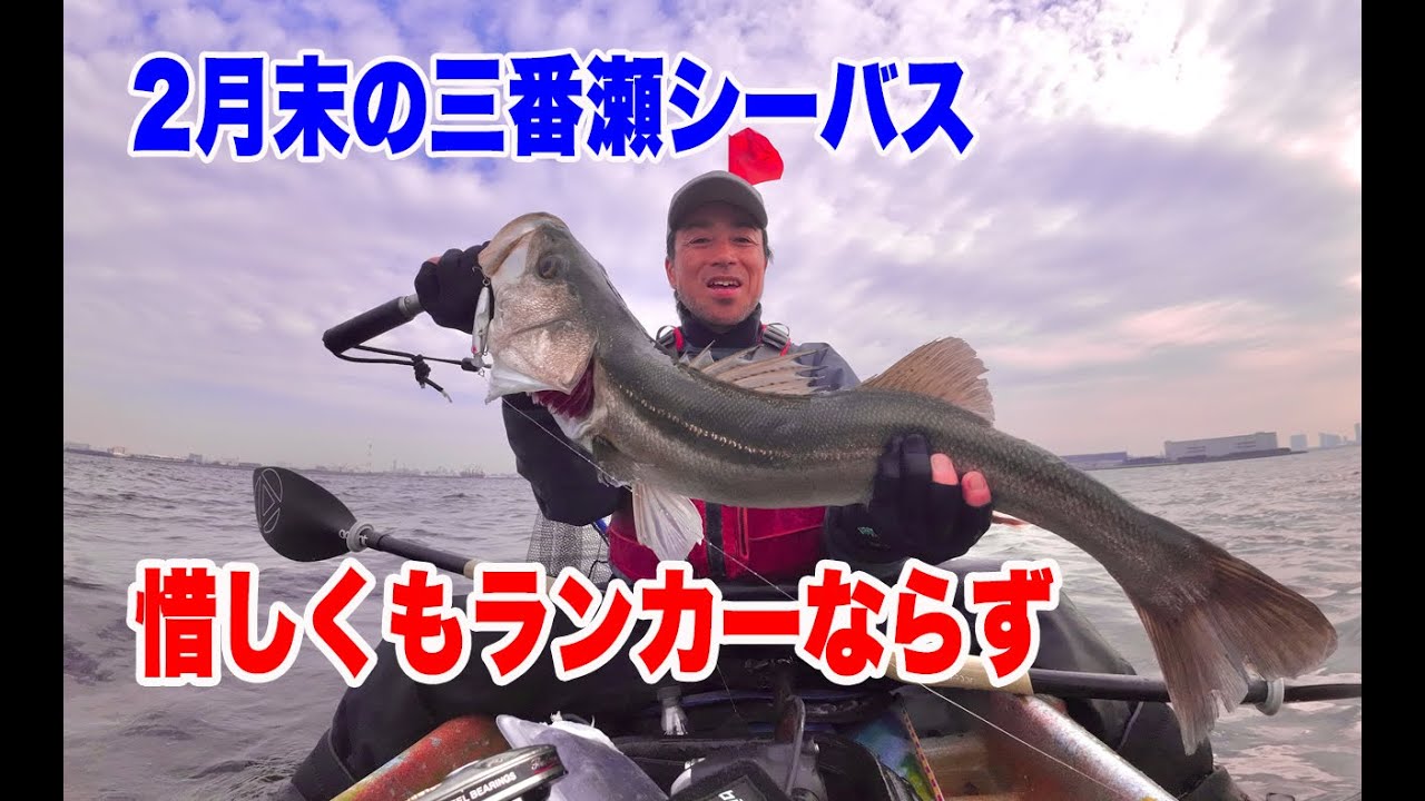 シーバスまとめ売り 2月末の三番瀬シーバス、惜しくもランカーならず！ - YouTube