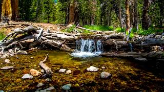 4k UHD Forest Stream USA, White Noise, Small waterfall, Nature Sounds, Sleep, Study, Relax, Anxiety