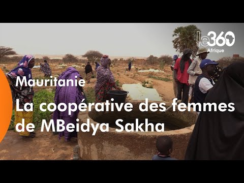 La coopérative des femmes de MBeidya Sakha