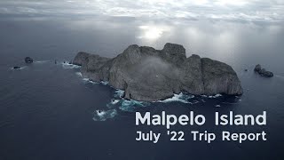 Going To Malpelo On The Ferox In 2022 4K