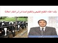 وقت اعطاء التلقيح الطبيعي والتلقيح الصناعى الى الابقار الحلابة