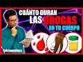 CUÁNTO DURAN LAS DROGAS EN EL CUERPO #MEDICINA