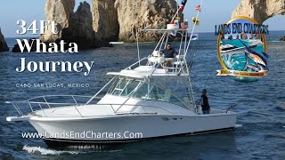 Cabo San Lucas Fishing Charters 34Ft Whata Journey Lures Sport Fisher Bisbees Winner