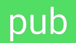 Pub Definition & Meaning Net Worth