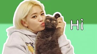twice adorable moments with animals and their pets