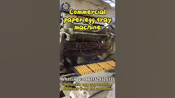 Top Features of Our Egg Tray Making Machine for High-Quality Production #egg #eggtray #recycle