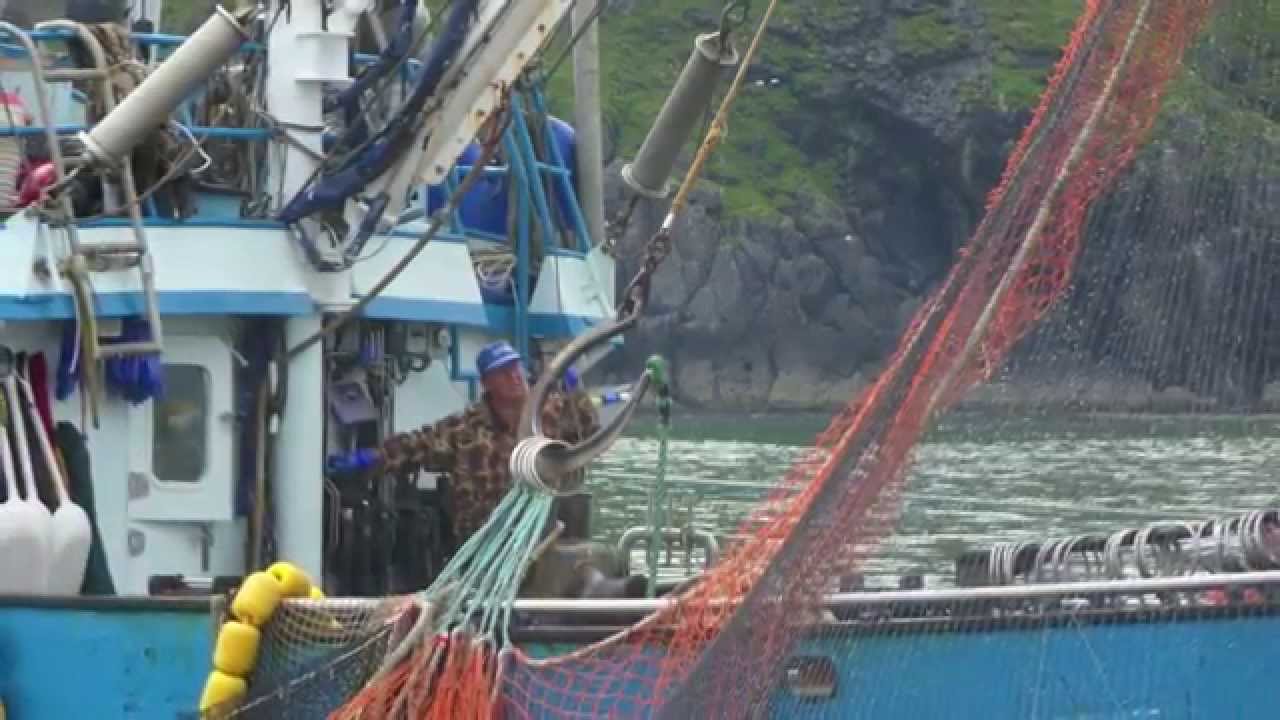 deadliest catch (salmon) commercial fishing YouTube