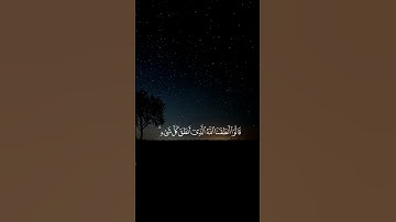 وقالوا لجلودهم لمَ شهدتم علينا || بصوت القارئ محمد صديق المنشاوي#قرآن_كريم