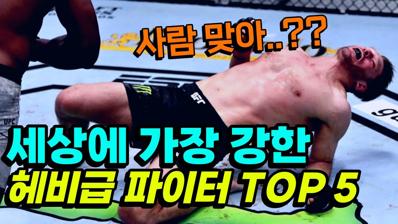 인간이야? 맹수야 !!? 지구 역사상 가장 강한 헤비급 파이터 TOP 5 ㄷㄷ