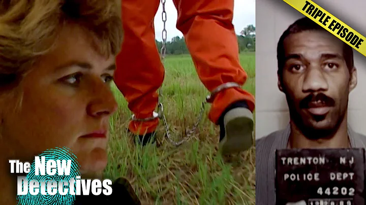 Remnant of Blame | TRIPLE EPISODE | The New Detectives