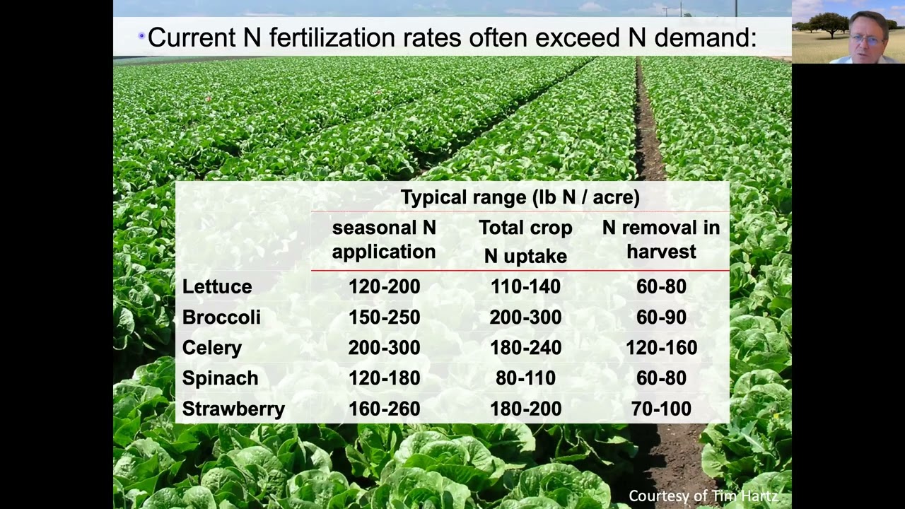 Модуль 3, Часть 2: Круговорот азота и использование растений: Интеграция круговорота азота с агро...
