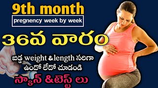 36 weeks of pregnancy what to expect | 36 weeks pregnant | pregnancy week by week | normal delivery