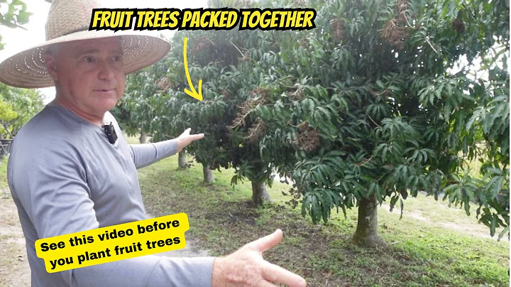 The Truth About High Density Planting – Long Term Results Revealed!