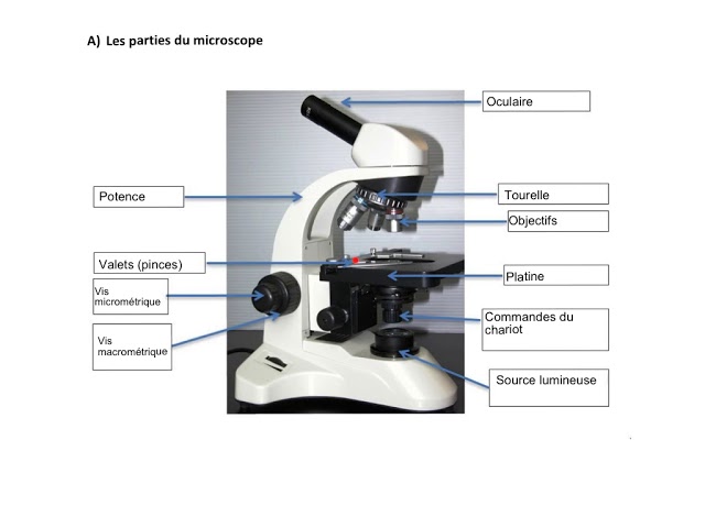 Parties Du Microscope Youtube Parties Du Microscope Youtube