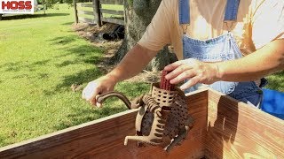 How to Make Your Own Corn Meal and Grits