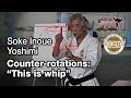 Soke Inoue Yoshimi - Counter-rotations: "This is whip" - Seminar Italy 2013