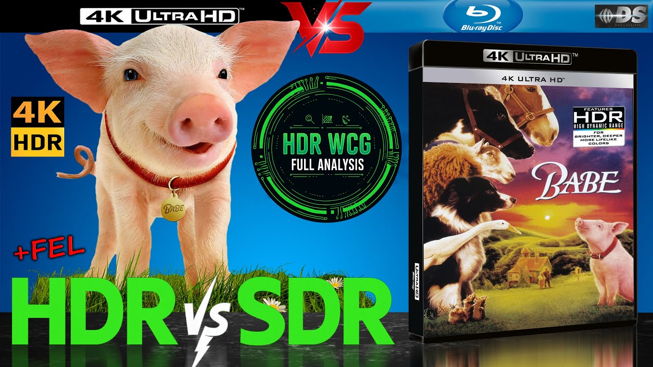 HDR DV WCG ANALYSIS ( Babe 1995 ) 4K UHD BD REVIEW vs 1080p BD SDR ...