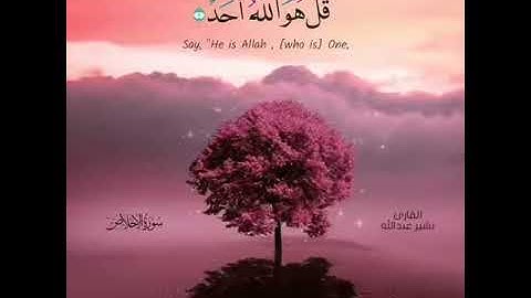 سورة الإخلاص للقارئ بشير عبد الله - حالات واتساب