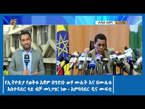 የኢትዮጵያ የወቅቱ አቋም በግድቡ ውሃ ሙሌት እና በሙሌቱ አስተዳደር ላይ ብቻ መነጋገር ነው - አምባሳደር ዲና ሙፍቲ