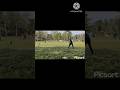 village cricket #cricketfan #cricketenthusiast #cricketlover #follow #trendingshorts