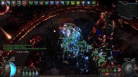 Path of Exile Harvest 3.11 | Carrion Golems/Aurabot | A8 Sirus Phase Skipping | Deathless