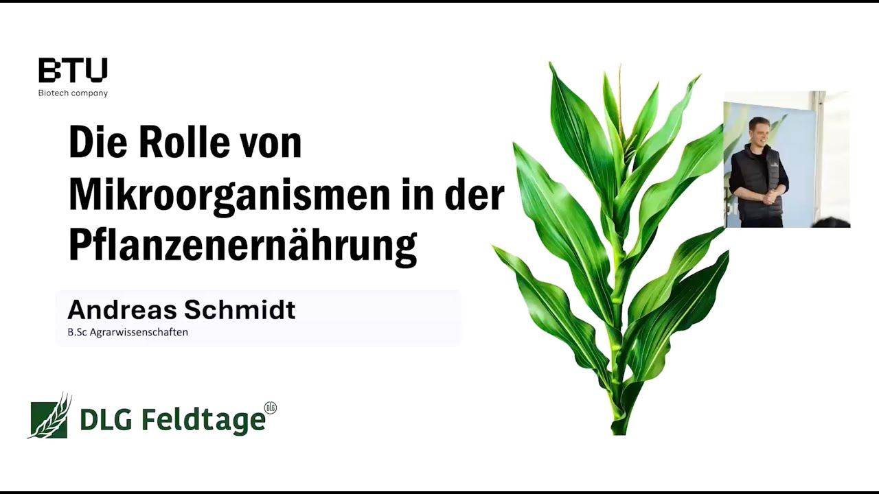 Die Rolle von Mikroorganismen in der Pflanzenernährung