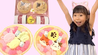 かわいいお菓子をお取り寄せ！〜ねこもにゃか、食べてみた〜こどもチャレンジのオジギソウも育てるよ！