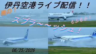 モフモフ！スプラ～～～ッシュ！残念整備欠航！天草エアライン・みぞか