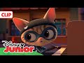 SUPERKITTIES: ¡Hay que animar el lugar! 🐈🎶 | Disney Junior Oficial