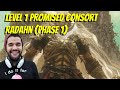 Level 1 Promised Consort Radahn (phase 1)