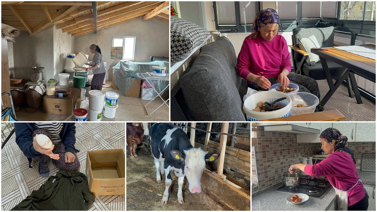 ÇATI KATINI TOPLADIK👍🏻 YILIN İLK KAZ YUMURTASI GELDİ❗️VLOG