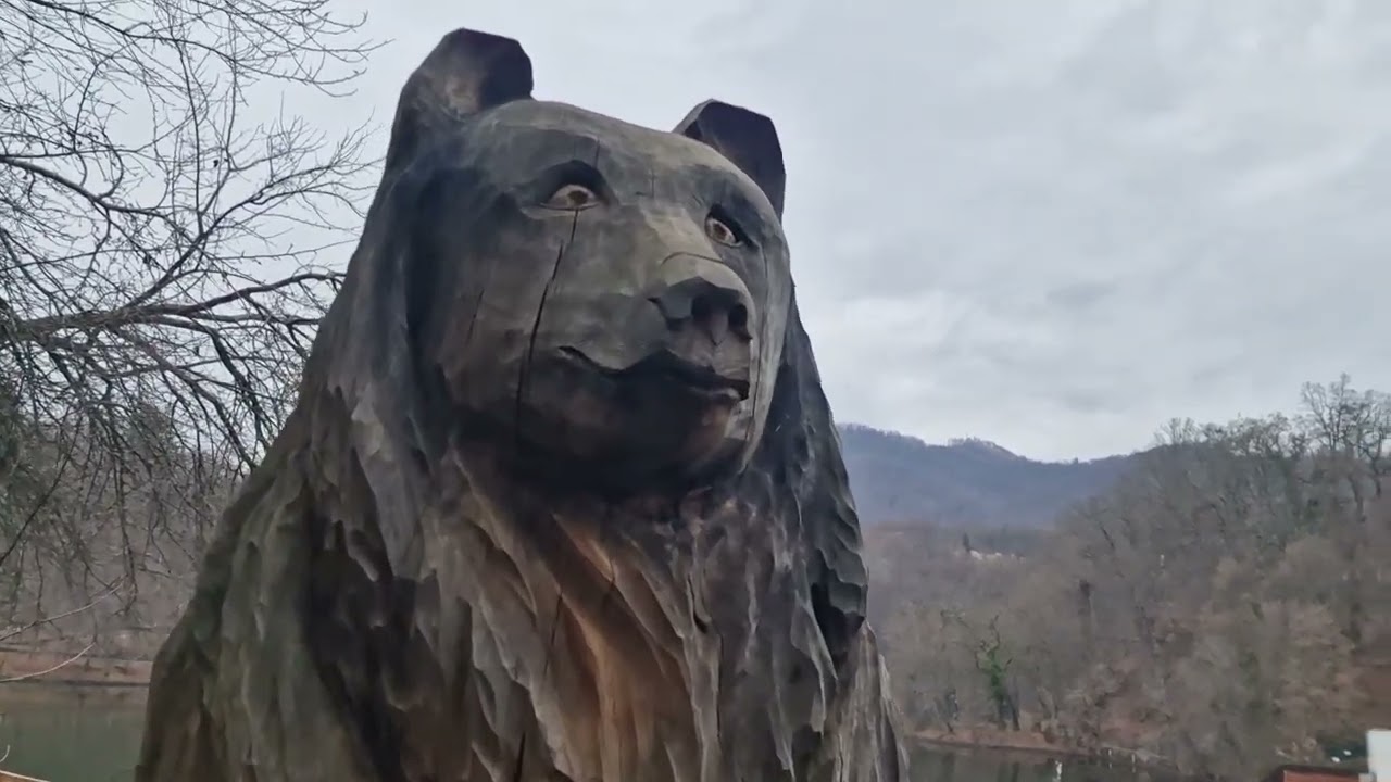 O zi la Ensana Ursina din Sovata !