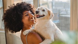 Labrador Retriever Dogs 101: Characteristics, Temperament, Health and Lifespan by Delvix Pet 39 views 1 year ago 14 minutes