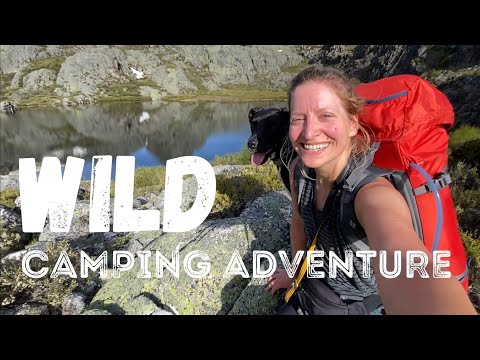 Solo Mountain Adventure | Wild Camping Hike with my Dog | Serra da Estrela, Portugal 🇵🇹