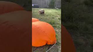 Gemmy 2002 pumpkins