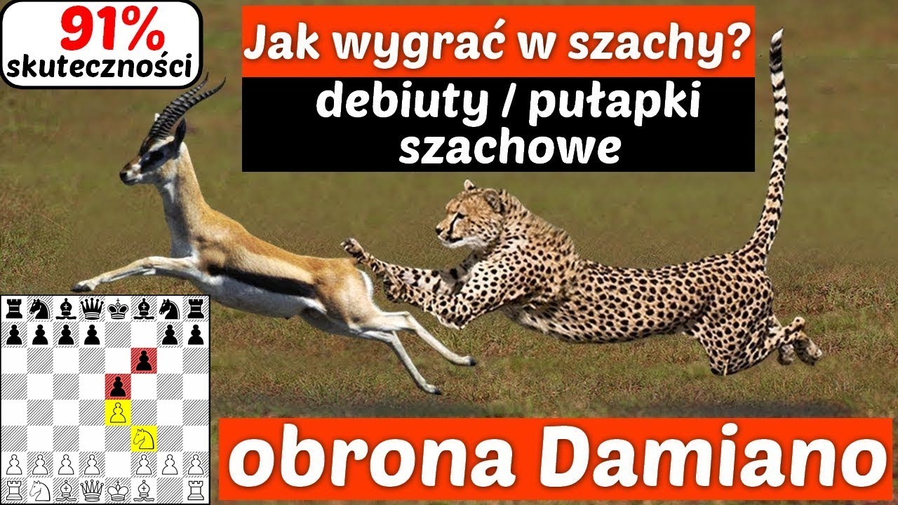SZACHY 308# Jak wygrać w szachy? białymi 91% w obronie Damiano, debiuty szachowe / pułapki szachowe