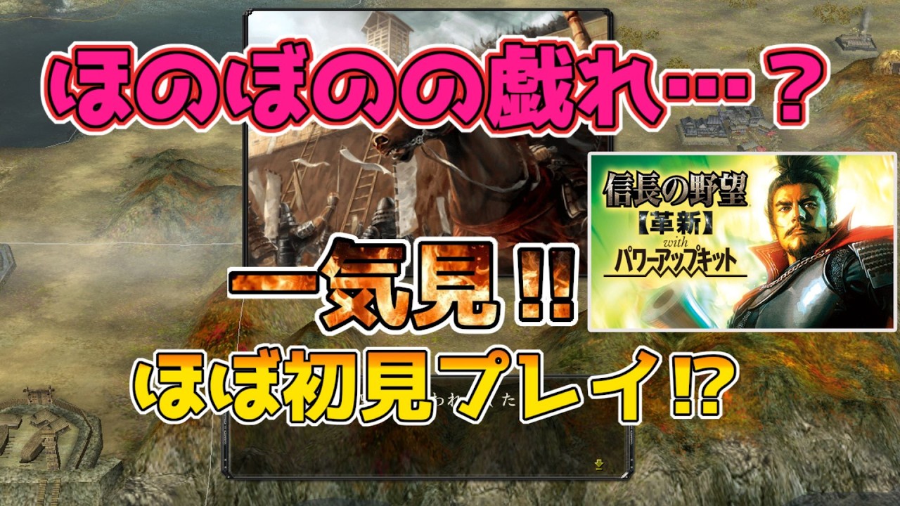 ＜信長の野望・革新PK＞ほのぼの過去に立つ？（里見家、一気見）
