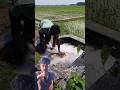 o Bhai ye वीडियो dekh आपके होश उड़ जाएंगे #reactionvideo #topshortvideo 😱😱😱😱💦🌊🌊🌊🌊🌊