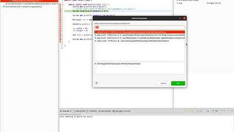 JNI Debug Native Code Linux / MacOS (GDB, LLMS)