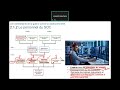 Module 2 partie 2