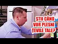 ȘTII CÂND VOR PLESNI ȚEVILE TALE? - CASEBUNE.RO