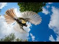 Il sole e le creature della terra toscana