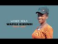 WANDE NDILA UJUMBE WA KIKUNDI CHA WAPILE 2025 0699662969 I RECORD 