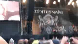 Whitesnake Arrow 2008