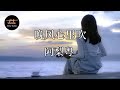 阿梨粤 晚风心里吹 動態歌詞 Pinyin Lyrics A Li Yue Wan Feng Xin Li Chui