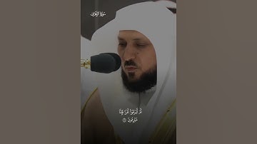 وَما ظَلَمناهُم وَلكِن كانوا هُمُ الظّالِمينَ |ماتيسر من سورة الزخرف |فضيلة الشيخ ماهر المعيقلي